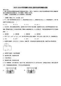 2023-2024学年物理九年级上期末质量检测模拟试题