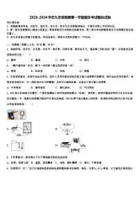 2023-2024学年九年级物理第一学期期末考试模拟试题