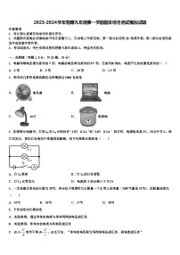 2023-2024学年物理九年级第一学期期末综合测试模拟试题