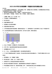 2023-2024学年九年级物理第一学期期末质量检测模拟试题