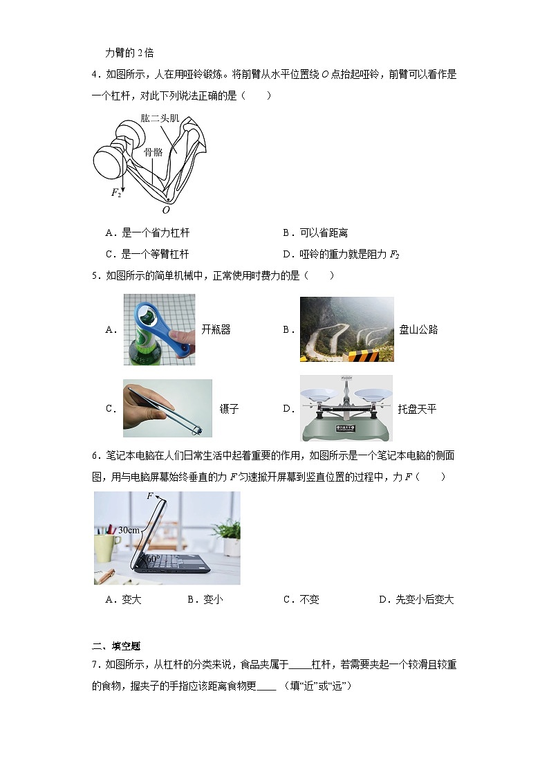 17杠杆（期末常考经典题）-江苏省2023-2024九年级物理上学期期末突击练习第2页