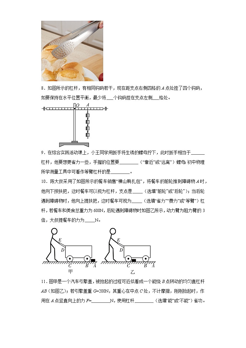 17杠杆（期末常考经典题）-江苏省2023-2024九年级物理上学期期末突击练习第3页