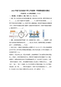 河南省驻马店市实验中学2023-2024学年九年级（上）期末考试物理试题（含解析）