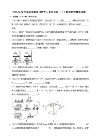 河南省周口市沈丘县2023-2024学年九年级上学期期末物理模拟试卷