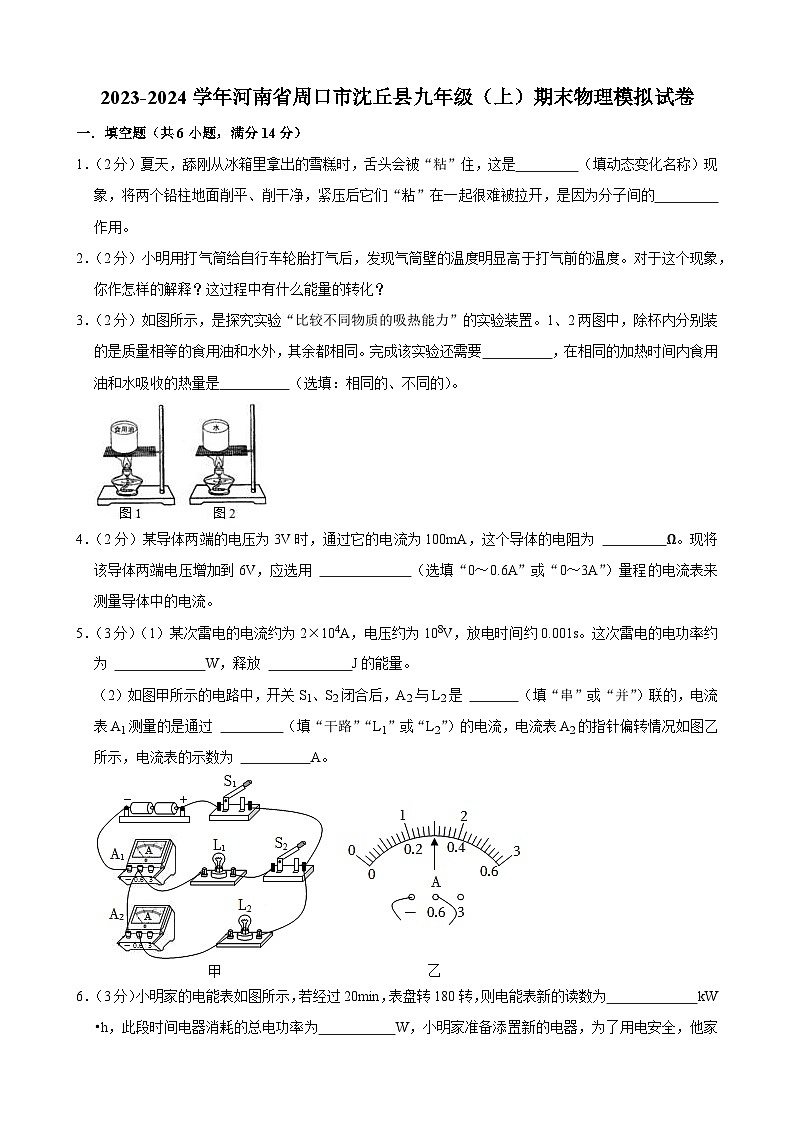 河南省周口市沈丘县2023-2024学年九年级上学期期末物理模拟试卷01