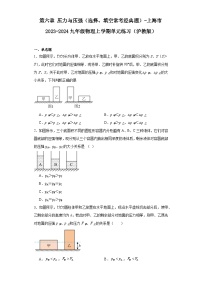 第六章压力与压强（选择、填空常考经典题）-上海市2023-2024九年级物理上学期单元练习（沪教版