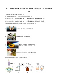 2022-2023学年度黑龙江省双鸭山市集贤县九年级（上）期末物理试卷（含详细答案解析）