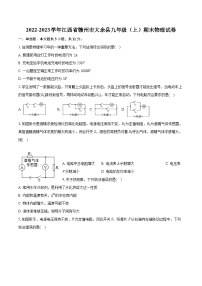 2022-2023学年江西省赣州市大余县九年级（上）期末物理试卷（含详细答案解析）