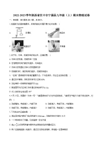 2022-2023学年陕西省汉中市宁强县九年级（上）期末物理试卷（含详细答案解析）