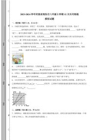 2023-2024学年河南省南阳市八年级上学期12月月考物理模拟试题（含答案）