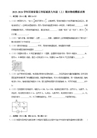 河南省商丘市柘城县2023-2024学年九年级上学期期末物理模拟试卷