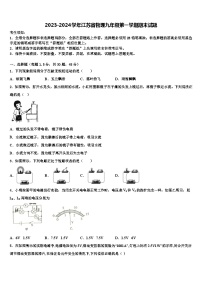 2023-2024学年江苏省物理九年级第一学期期末试题