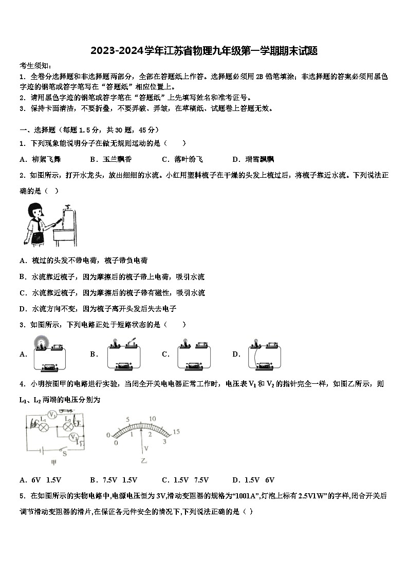 2023-2024学年江苏省物理九年级第一学期期末试题第1页