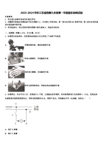 2023-2024学年江苏省物理九年级第一学期期末调研试题