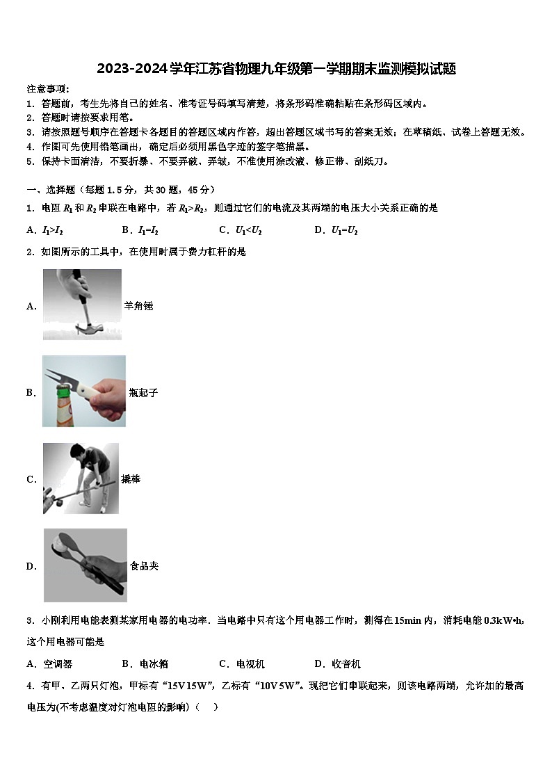 2023-2024学年江苏省物理九年级第一学期期末监测模拟试题第1页