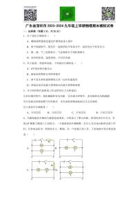 广东省深圳市2023-2024学年九年级上学期物理期末模拟试卷1