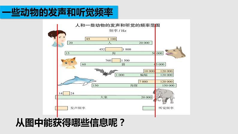 苏科版年八年级物理上册同步精品备课 1.4 人耳听不见的声音（课件）第5页