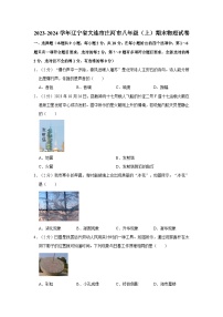 辽宁省大连市庄河市2023-2024学年八年级上学期期末物理试卷