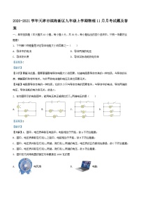 2020-2021学年天津市滨海新区九年级上学期物理11月月考试题及答案