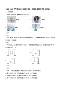 2022-2023学年北京大兴区初三上学期物理期中试卷及答案