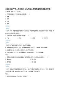 2022-2023学年上海市松江区九年级上学期物理期中试题及答案