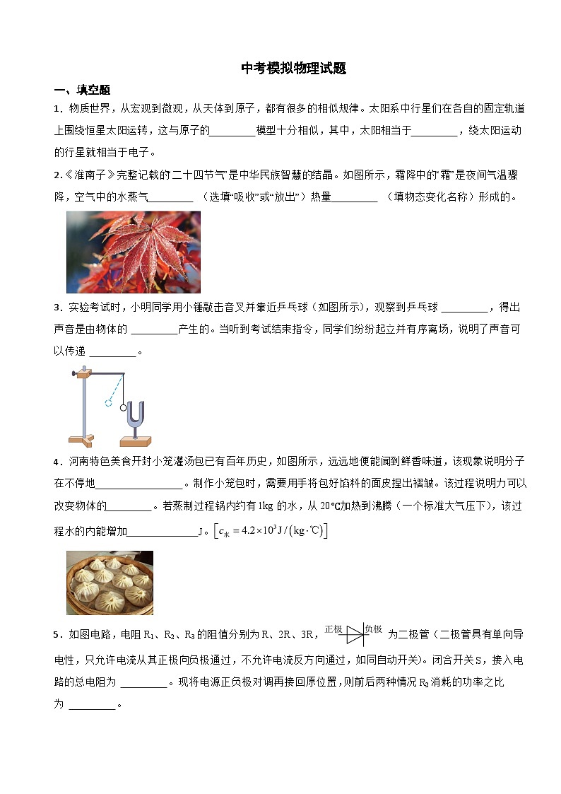 河南省南阳市2024年中考模拟物理试题附答案第1页