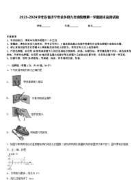 2023-2024学年东省济宁市金乡县九年级物理第一学期期末监测试题含答案