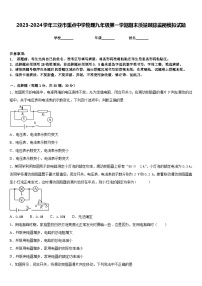 2023-2024学年三亚市重点中学物理九年级第一学期期末质量跟踪监视模拟试题含答案