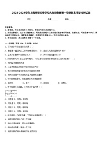 2023-2024学年上海奉贤华亭学校九年级物理第一学期期末质量检测试题含答案