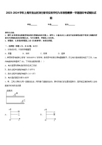 2023-2024学年上海市宝山区刘行新华实验学校九年级物理第一学期期末考试模拟试题含答案