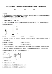 2023-2024学年上海市宝山区名校物理九年级第一学期期末考试模拟试题含答案