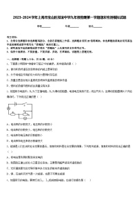 2023-2024学年上海市宝山区淞谊中学九年级物理第一学期期末检测模拟试题含答案