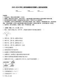 2023-2024学年上海市崇明县名校物理九上期末监测试题含答案