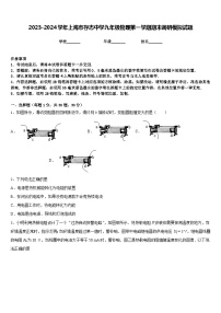 2023-2024学年上海市存志中学九年级物理第一学期期末调研模拟试题含答案