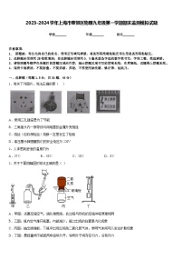 2023-2024学年上海市奉贤区物理九年级第一学期期末监测模拟试题含答案