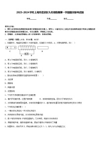 2023-2024学年上海市嘉定区九年级物理第一学期期末联考试题含答案