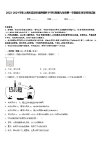 2023-2024学年上海市嘉定区南翔镇怀少学校物理九年级第一学期期末质量检测试题含答案