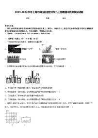 2023-2024学年上海市闵行区信宏中学九上物理期末统考模拟试题含答案