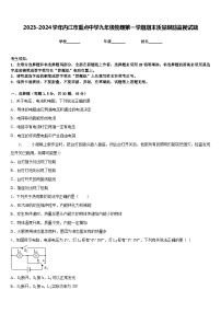 2023-2024学年内江市重点中学九年级物理第一学期期末质量跟踪监视试题含答案