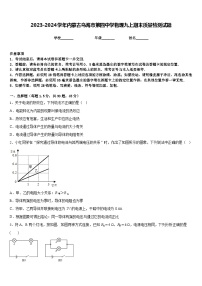 2023-2024学年内蒙古乌海市第四中学物理九上期末质量检测试题含答案