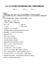 2023-2024学年内蒙古乌海市海南区物理九年级第一学期期末经典模拟试题含答案