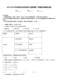 2023-2024学年内蒙古伊金霍洛旗九年级物理第一学期期末调研模拟试题含答案