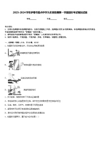 2023-2024学年伊春市重点中学九年级物理第一学期期末考试模拟试题含答案