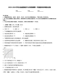 2023-2024学年云南省楚雄市九年级物理第一学期期末联考模拟试题含答案