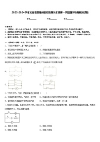 2023-2024学年云南省楚雄州名校物理九年级第一学期期末检测模拟试题含答案