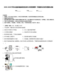 2023-2024学年云南省涧南彝族自治县九年级物理第一学期期末达标检测模拟试题含答案