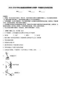 2023-2024学年云南省陆良县物理九年级第一学期期末达标测试试题含答案