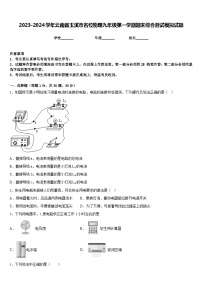 2023-2024学年云南省玉溪市名校物理九年级第一学期期末综合测试模拟试题含答案