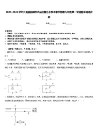 2023-2024学年云南省曲靖市沾益区播乐乡罗木中学物理九年级第一学期期末调研试题含答案