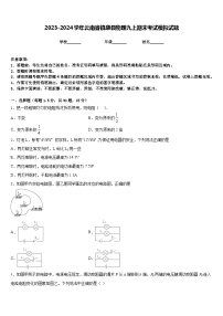 2023-2024学年云南省镇康县物理九上期末考试模拟试题含答案